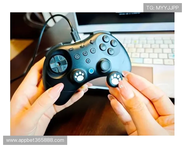 Kingbet游戏网址的最新地址发布平台保证您的账号安全和游戏顺畅播放